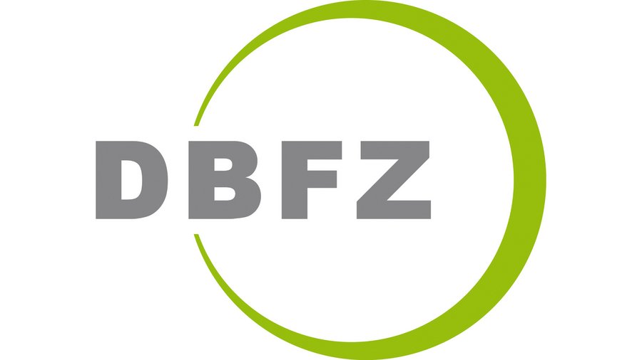 Logo des Deutschen Biomasseforschungszentrum gemeinnützige GmbH
