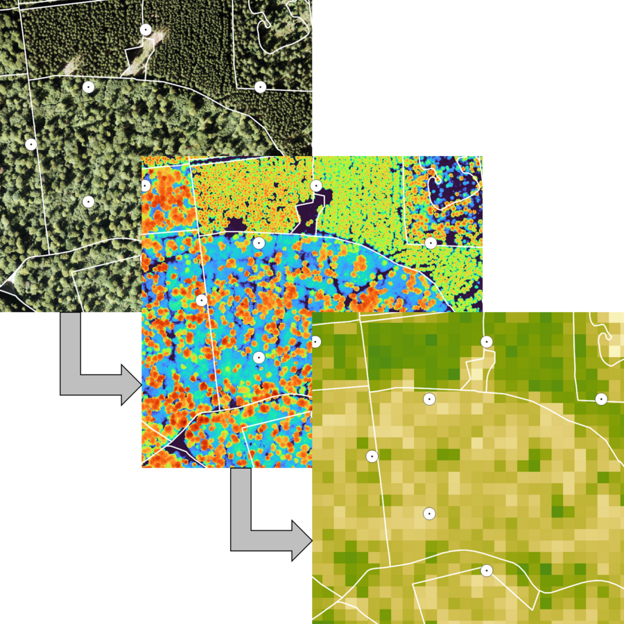 Luftbild, Vegetationshöhenmodell und Holzvorrats- karte mit Polygonen der Waldeinteilung und Inventur-Probekreisen