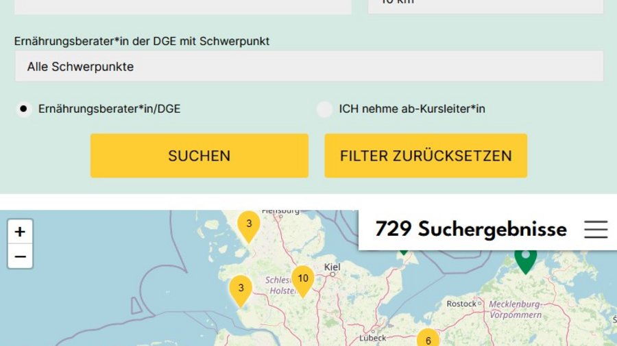 Screenshot der Webseite des DGE zur Beratung