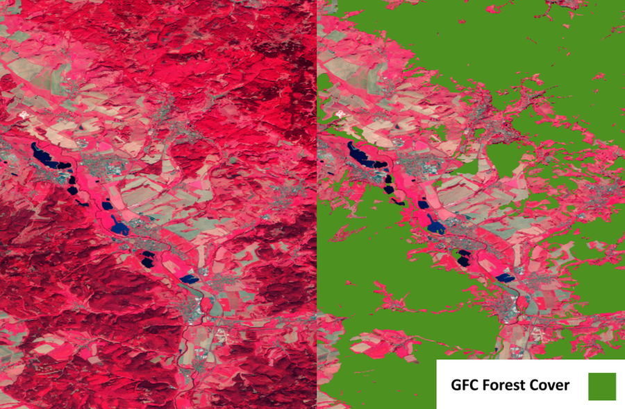 Ausschnitt eines Satellitenbildes im NIR-Bereich, einmal im Original, daneben mit einer Überlagerung durch die Global Map of Forest Cover 2020.