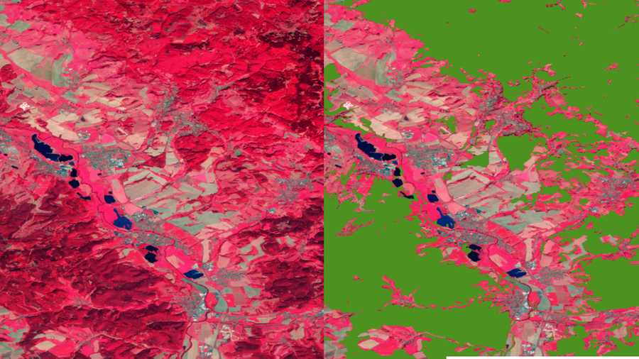 Ausschnitt eines Satellitenbildes im NIR-Bereich, einmal im Original, daneben mit einer Überlagerung durch die Global Map of Forest Cover 2020.